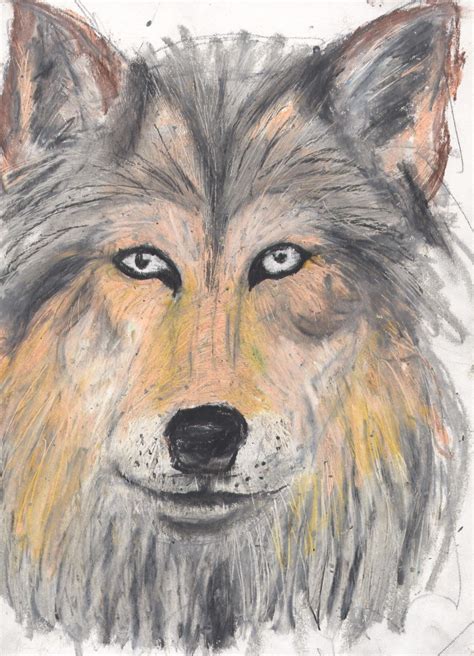 A Super Ugly Wolf By Crazyscorpio On Deviantart