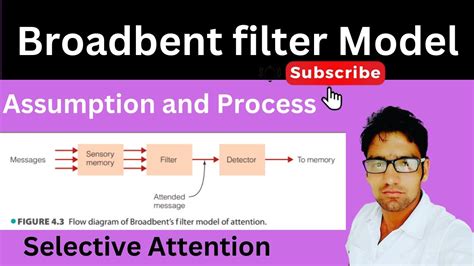 Broadbent S Filter Model Of Selective Attention Explained Selective