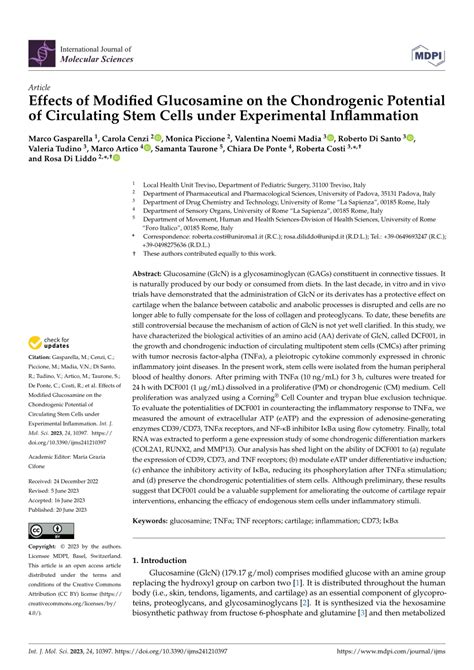 Pdf Effects Of Modified Glucosamine On The Chondrogenic Potential Of