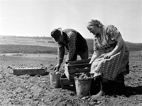 Farming Landscapes In Scandinavia Europeana