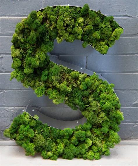 3D Moss Letters In Metal Casing 30cm Tall Etsy Moss Letters Moss