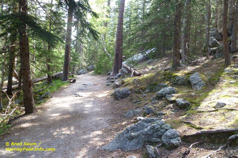 Harney Peak Hiking - Black Elk Peak