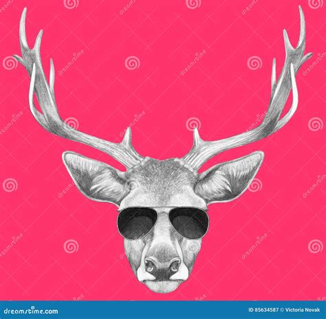 Portrait Of Deer With Sunglasses Stock Illustration Illustration Of