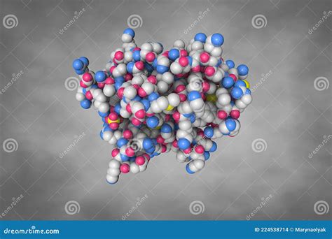 Space Filling Molecular Models Of Hydrogen Peroxide A Chemical