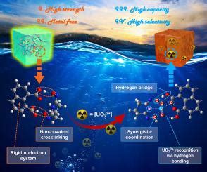 High Strength Ionic Hydrogel Constructed By Metal Free Physical