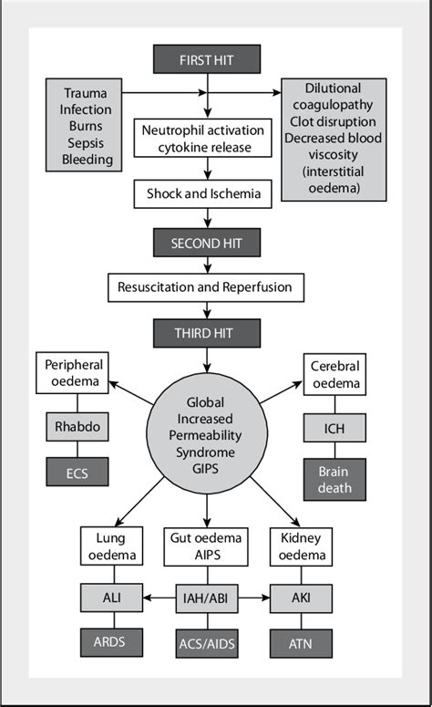 Figure 1 from Role of permissive hypotension, hypertonic resuscitation ...