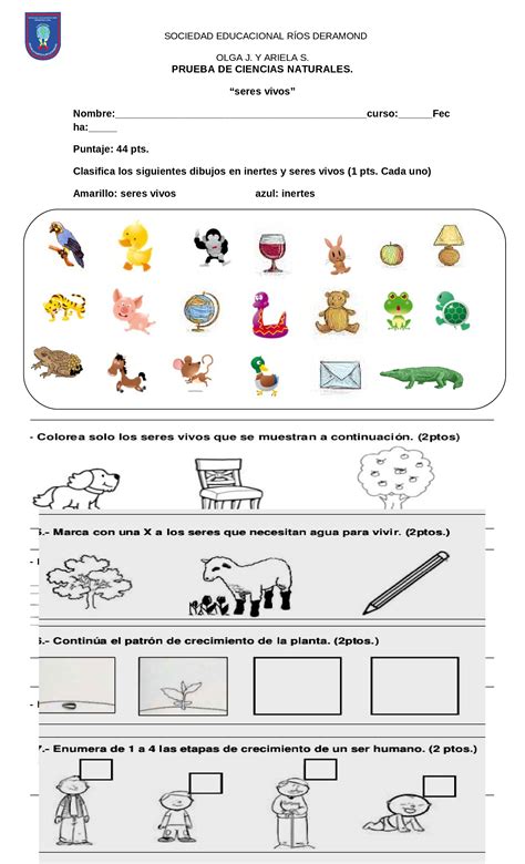 Prueba De Ciencias Naturales Seres Vivos Primero Basico Infoupdate Org