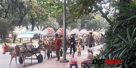 Delman Tetap Boleh Beroperasi Di Monas Pemkot Jakpus Jelaskan Aturannya