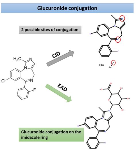 Confident characterization and identification of glucuronide ...