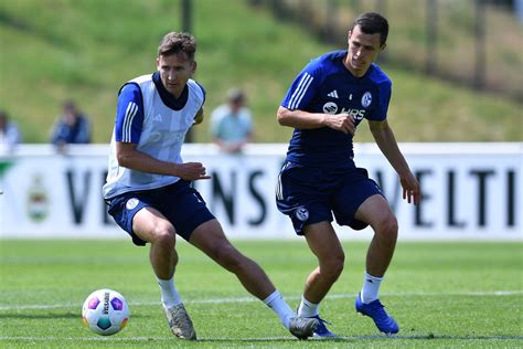 Fc Schalke 04 Krasse Aussagen Was Die Fans Wohl Dazu Sagen