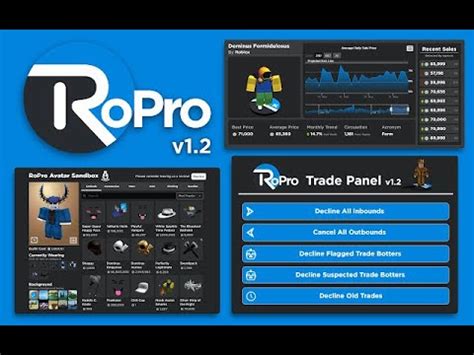 How To Use Ropro YouTube