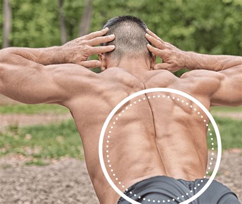 10 Dumbbell Lower Back Exercises For The Ultimate Workout