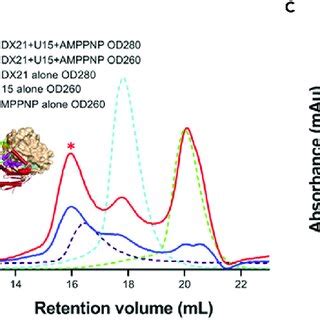 Characterization Of The Interaction Between DDX21 And RNA By SEC