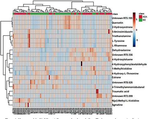 Figure 2 From Untargeted Metabolomics And Steroid Signatures In Urine