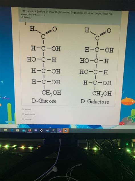 Solved Eicosanoids Name The Trisaccharide Using The Rules On Chegg