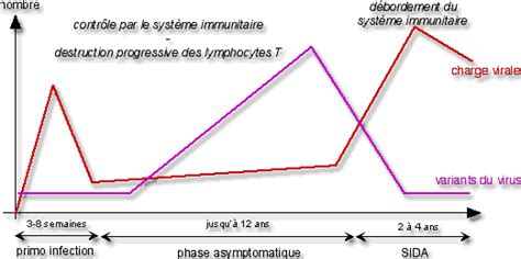 Evolution De L Infection Par Le Vih