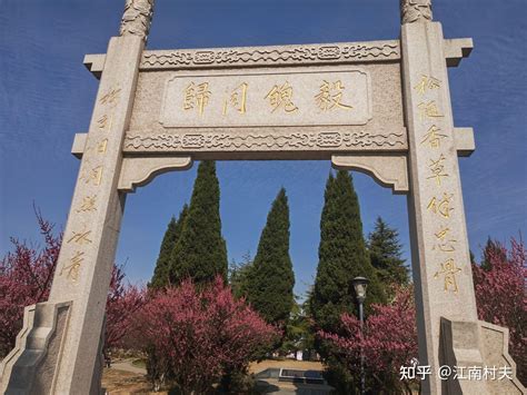 游江阴祝塘泽枯禅寺有感 知乎