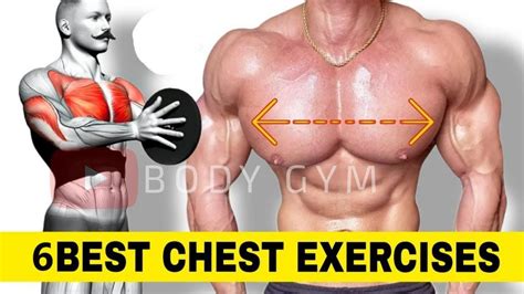 6 Wider Chest Workout At Gym How To Build Bigger Chest Chest