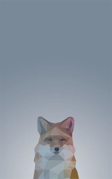 Fox Phone Wallpapers - Top Free Fox Phone Backgrounds - WallpaperAccess