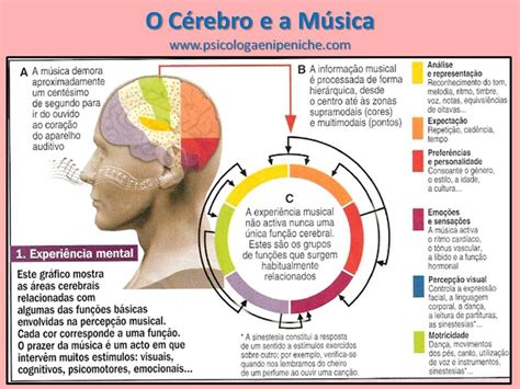 Coletivo De Musicas - Qual O Coletivo De Músicos - RETOEDU
