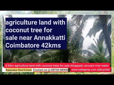 Agriculture Land With Coconut Tree For Sale Near Attapadi