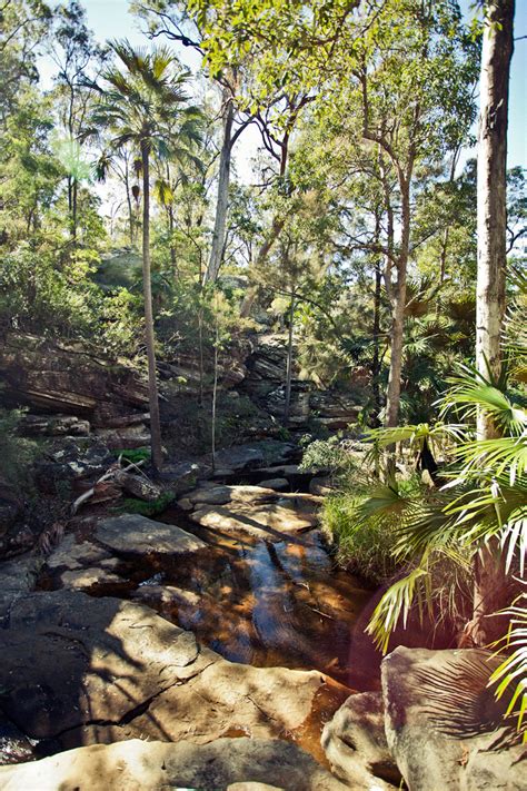 A Shot Away: A bushwalk in the Blackdown Tableland National Park