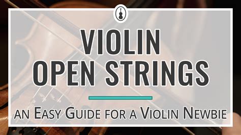 Violin Open Strings An Easy Guide For A Violin Newbie Violinspiration