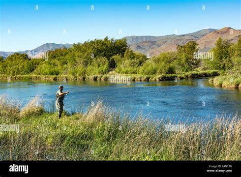 Idaho Bellevue Silver Creek Preserve Fly Fisherman Trout Fishing