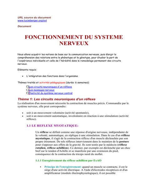 Fonctionnement Du Systeme Nerveux