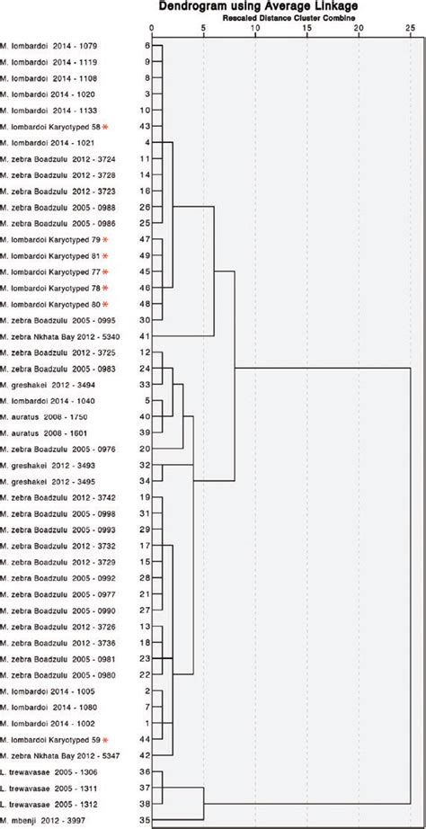 Cluster Analysis Dendrogram Hierarchical Clustering Of Samples By The