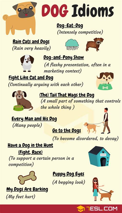 Animal Idioms 165 Useful Animal Idioms From A Z