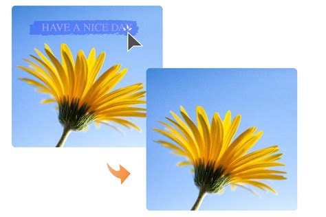 Resim üzerine yazı yazma: Ücretsiz Çevrimiçi Metin Toplayıcı | Fotor 