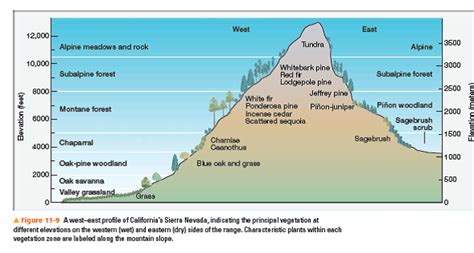 Chapter 11 Solutions McKnight S Physical Geography 12th Edition