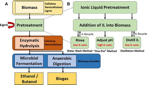 A Enzymatic Biofuel Production Process Chart Highlighting Mass