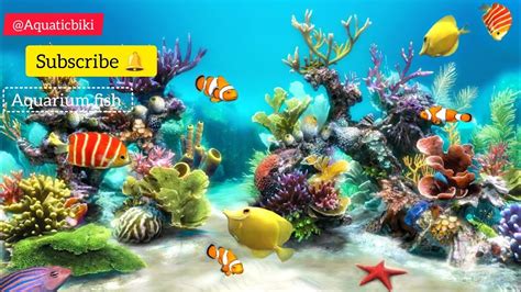 4k Aquarium Music Video Hd Video Aquarium Fish Setup Deep Ocean