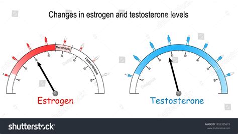 Estrogen Deficiency Images Stock Photos Vectors Shutterstock