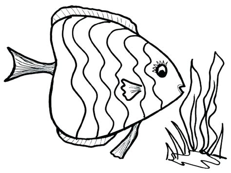 Realistic Fish Coloring Pages at GetColorings.com | Free printable ...