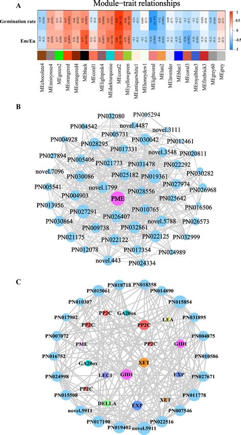 Network Analysis Of Co Expression Modules Using Wgcna A Heatmap Of