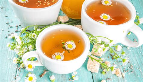 Vital Benefits Of Drinking Chamomile Tea Salty Glow