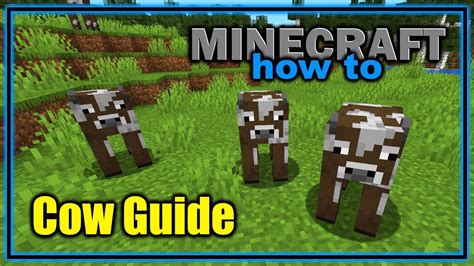 Everything About The Cow In Minecraft Easy Minecraft Mob Guide Youtube