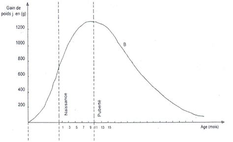 Engraissement Des Bovins I Le Monde De L Elevage