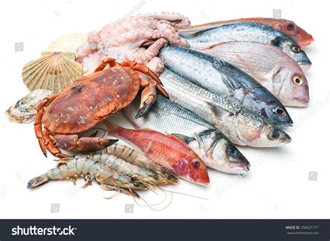 Fresh Catch Of Fish And Other Seafood Isolated On White Background