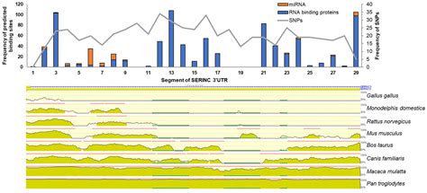 From Beginning To End Expanding The Serinc Interactome Through An In