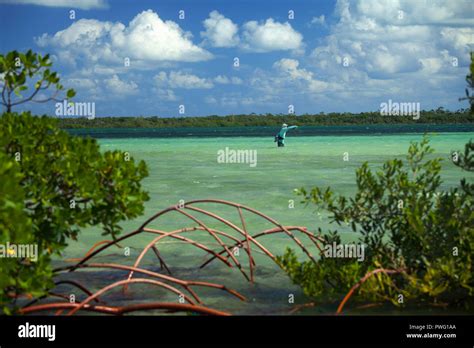 Scene From Saltwater Fly Fishing For Bonefish Tarpon Roosterfish