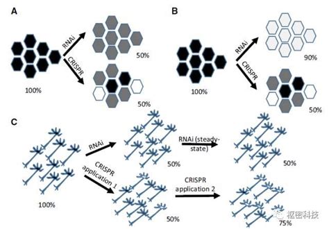 基因沉默哪家强CRISPRi vs RNAi CRISPRi和RNAi各有什么特点 知乎