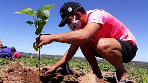 Plantar árvores para germinar Podcast Rádio Brasil de Fato