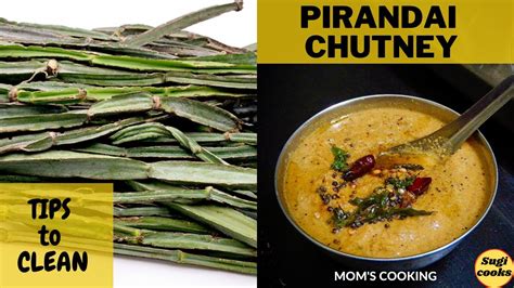 Pirandai Chutney Adamant Creeper Recipe Pirandai Thuvaiyal