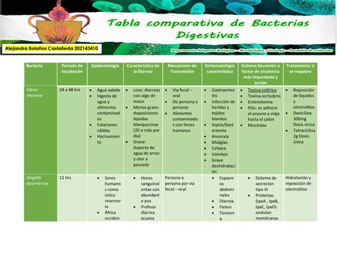 Tabla Comparativa De Bacterias Digestivas Bacteria Periodo De The