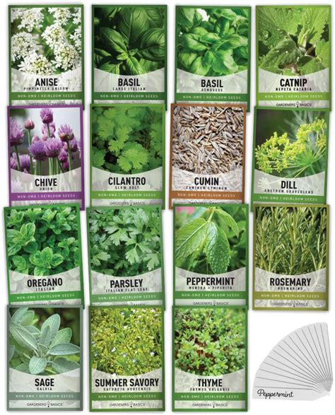 Gardeners Basics 15 Herb Seeds For Planting Varieties