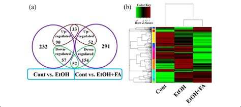 Analysis Of The Genes That Were Differentially Expressed In Different Download Scientific